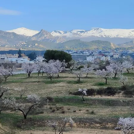 Villa Terracota, Lujo En Y Sierra Nevada Granada